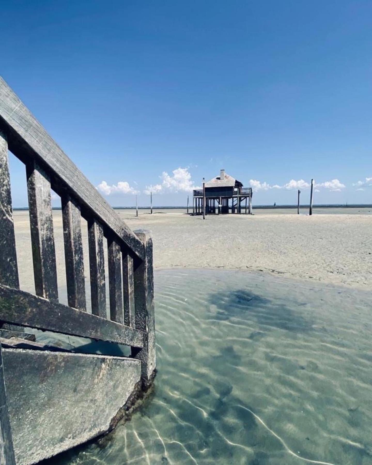 Cocon Entre Presqu'Ile Du Cap Ferret Et Plages Oceanes - Terrasse - 1 Velo Gratuit Арес Экстерьер фото