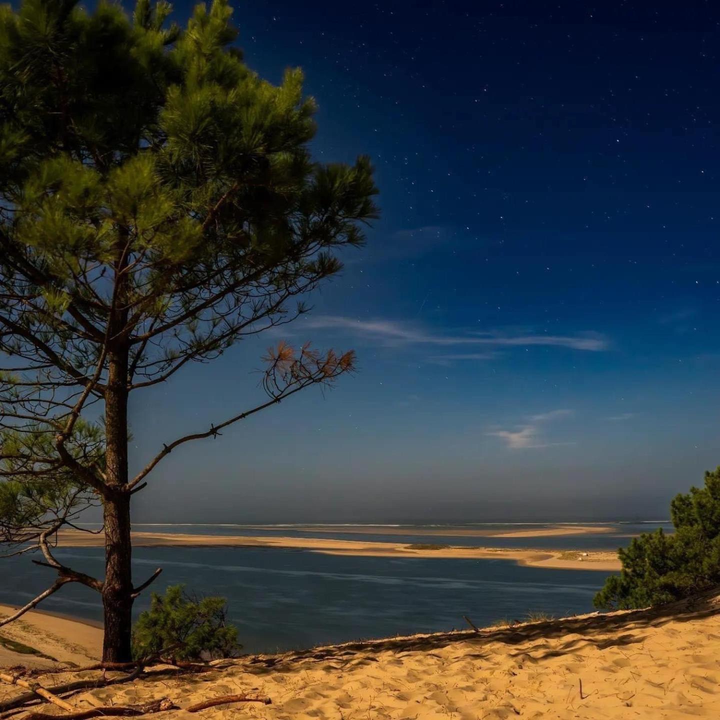 Cocon Entre Presqu'Ile Du Cap Ferret Et Plages Oceanes - Terrasse - 1 Velo Gratuit Арес Экстерьер фото